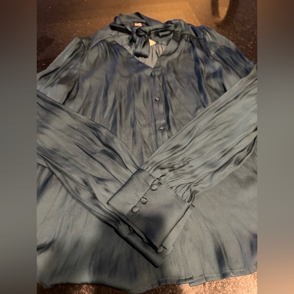 CLEOBELLE DARK SPRUCE BLOUSE - Picture 7 of 9